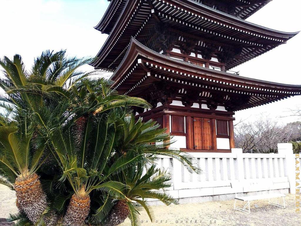 NAGOYA - Quartier Kakuozan - 25.01.2024 -30.jpg